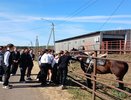 В Петропавловском районе открылся молодёжный клуб профориентации «Время молодых»