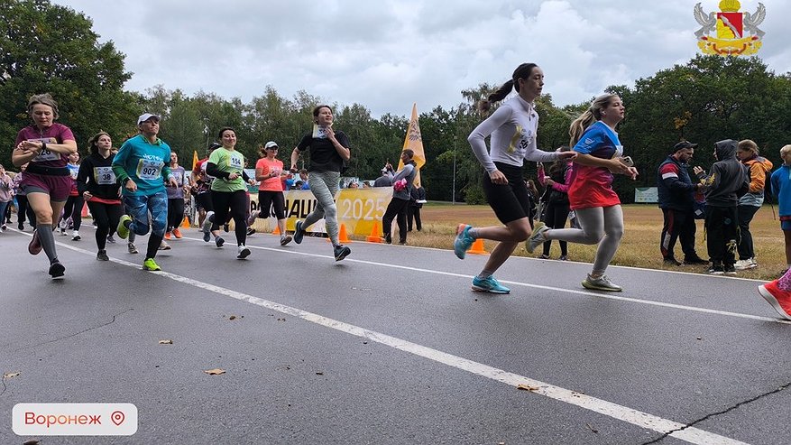 Главная картинка новости: В Воронеже и районах области прошёл массовый забег «Кросс нации – 2025»