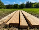 Не спешите выбрасывать: какие личинки в компосте быстро превратятся в качественный гумус