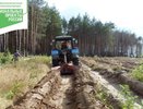 В лесничествах Воронежской области готовят землю к осенней посадке леса