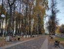 Почему деревья нужно белить осенью, а не весной: садовод рассказала о главной ошибке садоводов