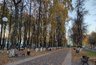 Миниатюра новости: Почему деревья нужно белить осенью, а не весной: садовод рассказала о главной ошибке садоводов