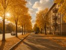 Переменная облачность и отсутствие дождя ожидаются в Воронеже 26 сентября