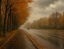 27 сентября в Воронеже прогнозируется облачный день и дождливая ночь