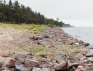 На берегу воронежского озера Большое нашли свалку грунта