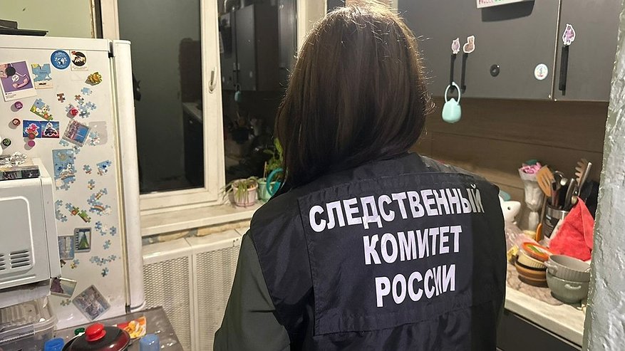 Главная картинка новости: 23-летнюю жительницу Воронежа обвиняют в жестоком избиении годовалого сына