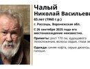 В Россоши ищут 65-летнего мужчину в синей кофте и серых джинсах