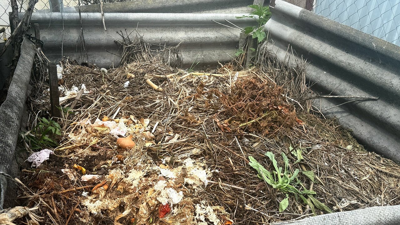 Главная картинка новости: Мой компост преет даже в стужу. Делюсь рецептом, что плеснуть в кучу прямо сейчас