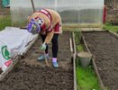 Почему я никогда не пропускаю октябрьскую перекопку: главная ошибка ленивых дачников