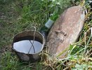 Простой способ сделать землю в теплице мягкой и плодородной: что нужно внести в почву в октябре