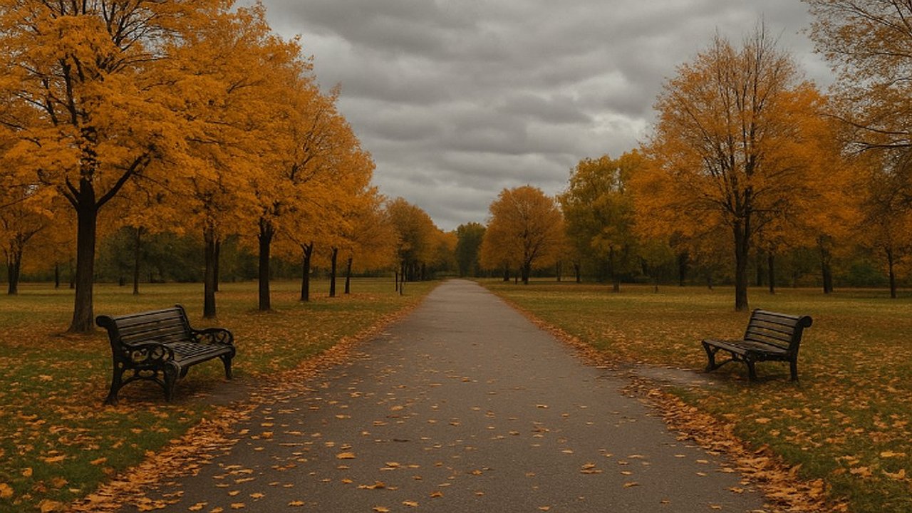 Главная картинка новости: В Воронеже 2 октября ожидается облачный день и прохладная погода