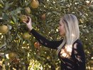 Как защитить яблони осенью от нападок вредителей и заболеваний