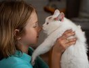 Ученые узнали, что на самом деле чувствует кошка, когда вы ее целуете – совсем не то, что можно подумать