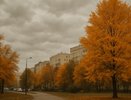 В Воронеже 3 октября ожидается облачный день без осадков