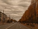 Облачная погода без осадков ожидается в Воронеже 4 октября