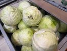Сладкая после стужи: боится ли капуста осенних заморозков и как холод меняет ее вкус