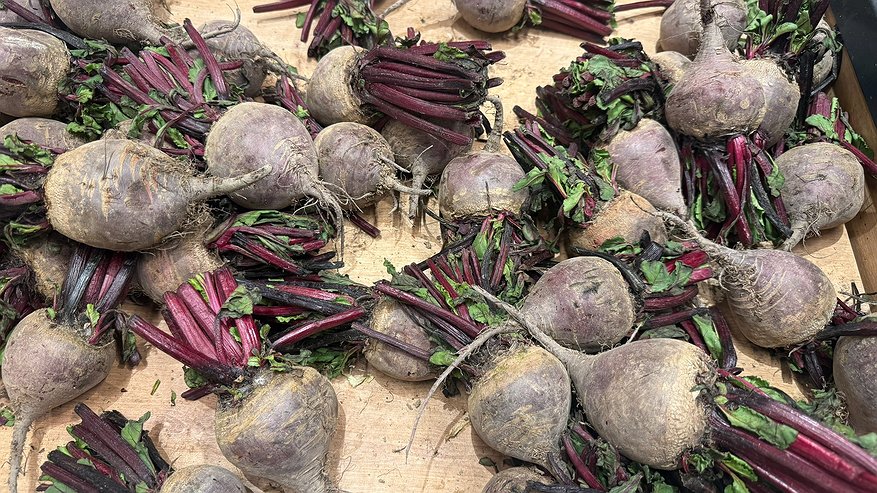 Главная картинка новости: Почему свекла выросла мелкой и невкусной: основные ошибки садоводов