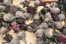 Миниатюра новости: Почему свекла выросла мелкой и невкусной: основные ошибки садоводов