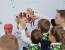 В воронежских школах до конца года откроют 71 класс сельхоз направленности