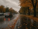 В Воронеже 10 октября ожидается пасмурный день с короткими дождями