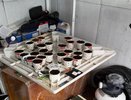 Полицейские задержали 40-летнего воронежца с теплицей запрещённых растений