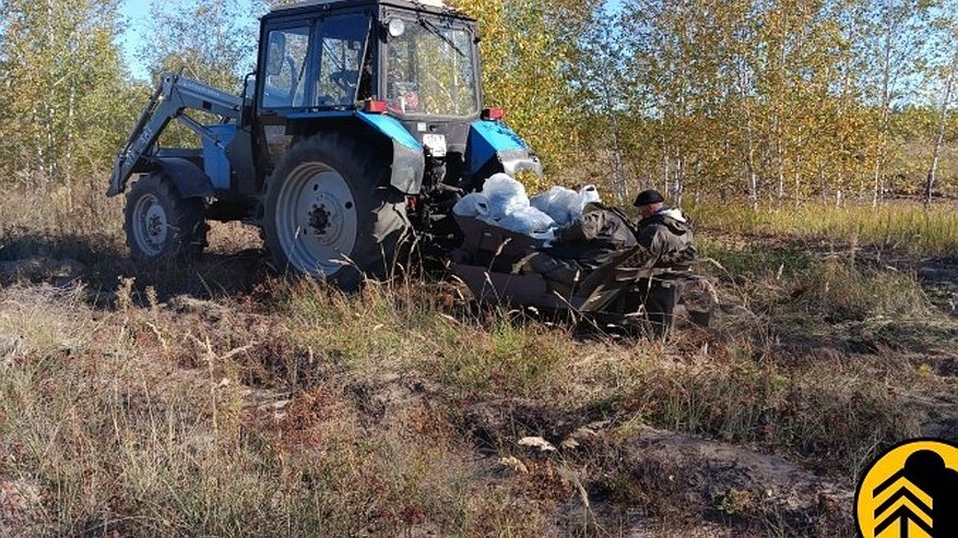 Главная картинка новости: В Воронежской области высадят почти 200 гектаров новых лесов этой осенью