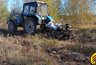 Миниатюра новости: В Воронежской области высадят почти 200 гектаров новых лесов этой осенью