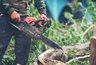 Миниатюра новости: В Воронеже временно перекроют переулок Богдана Хмельницкого из-за спила аварийного дерева