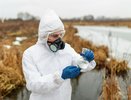 Эпизоотическая комиссия Воронежской области ужесточила контроль