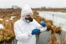 Миниатюра новости: Эпизоотическая комиссия Воронежской области ужесточила контроль
