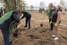 Миниатюра новости: Бизнес-сообщество Воронежа создает сквер на набережной