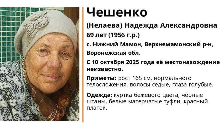 Главная картинка новости: В Верхнемамонском районе разыскивают 69-летнюю женщину в бежевой куртке и красном платке