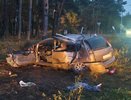 В Воронеже в ДТП погиб 47-летний водитель и пострадали два пассажира