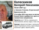 В Острогожском районе ищут пропавшего 78-летнего мужчину на серебристом Renault Duster