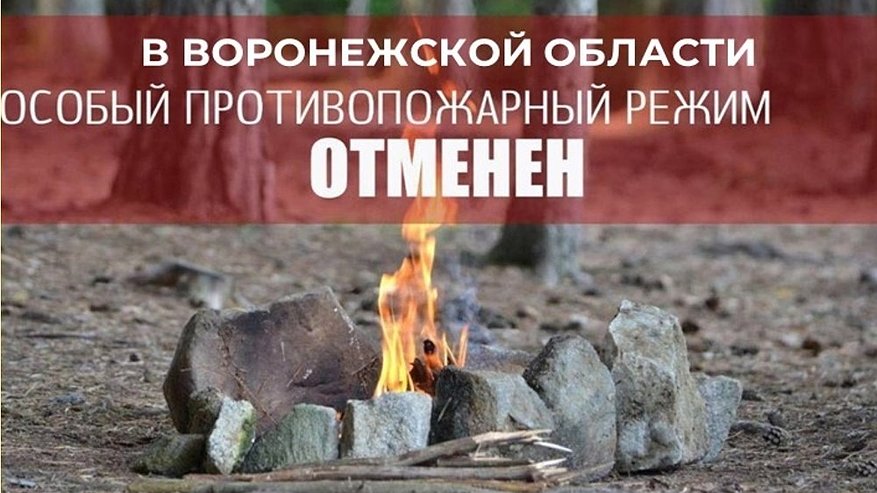 Главная картинка новости: В Воронежской области сняли особый противопожарный режим