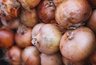 Миниатюра новости: Почему озимый лук получается особенно вкусным