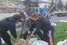 Миниатюра новости: В Воронеже началась высадка деревьев и кустарников в рамках осеннего благоустройства