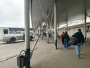 Замена ГАЗелей на новые автобусы началась в Воронеже