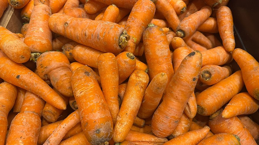Главная картинка новости: Заготовка моркови на зиму: топ-10 вкусных и полезных способов