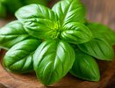 Учёные выяснили, какое природное средство поможет сохранить ясную память