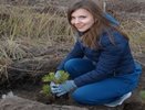 В регионе в рамках акции «Сохраним лес» высадят свыше 69 тысяч деревьев