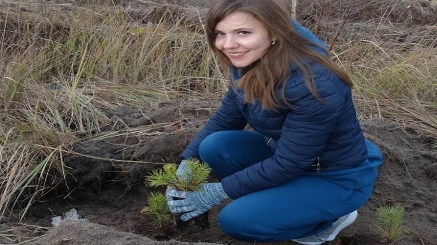 Главная картинка новости: В регионе в рамках акции «Сохраним лес» высадят свыше 69 тысяч деревьев