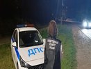 Жительницу Бутурлиновки будут судить за попытку подкупить инспектора ДПС