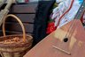 Миниатюра новости: В областном центре пройдёт юбилейный фестиваль «Воронеж многонациональный»