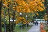 Миниатюра новости: Воронежцев приглашают показать красоту города на фотоконкурсе «Золотая осень»