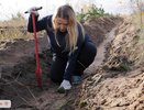 На Кожевенном кордоне под Воронежем высадили 23 тысячи молодых сосен