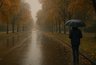 Миниатюра новости: Дождливый день ожидается в Воронеже 31 октября