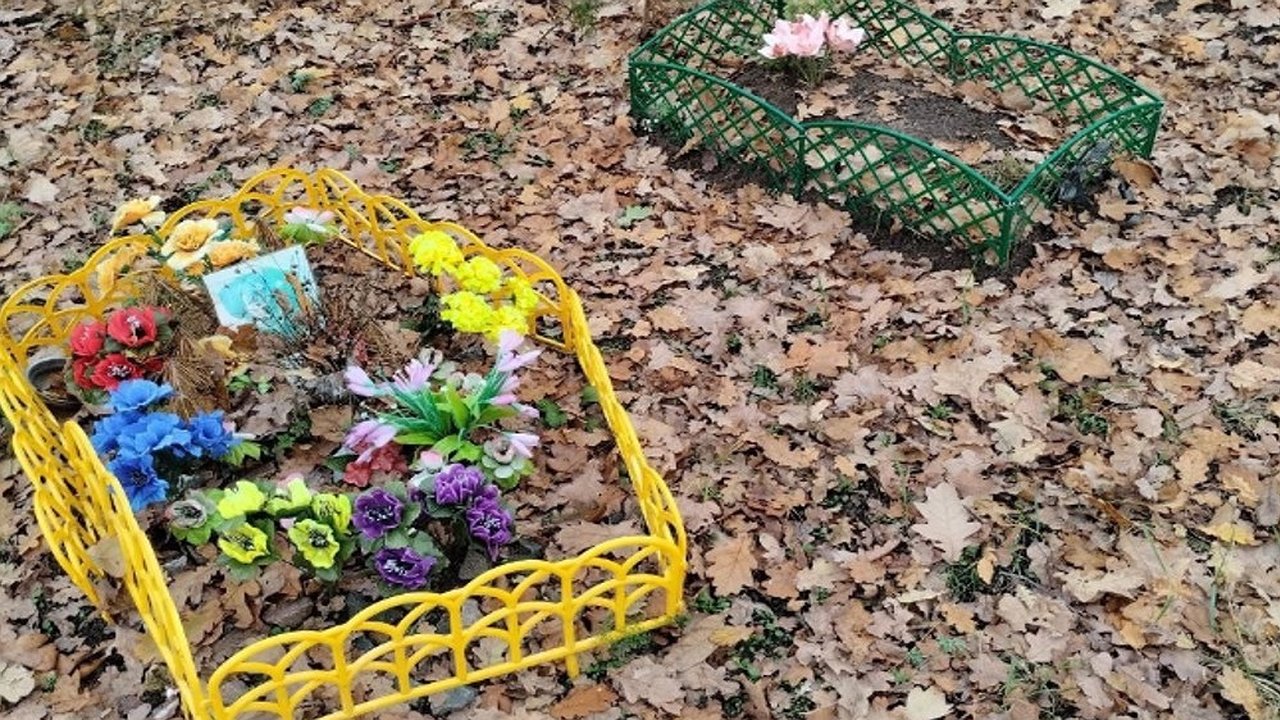 Главная картинка новости: Воронежцы устроили тайное кладбище домашних животных у станции «Западный Посёлок»