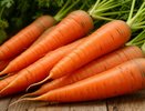 Морковь, которая не подведет: самые надежные сорта для вашего огорода
