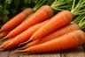 Миниатюра новости: Морковь, которая не подведет: самые надежные сорта для вашего огорода